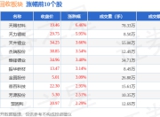 动力电池回收板块7月17日涨0.9%，天赐材料领涨，主力资金净流入5.91亿元