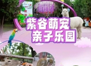 爪爪乐园·宠物百货——公司店铺品牌起名