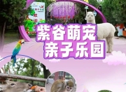 爪爪乐园·宠物百货——公司店铺品牌起名