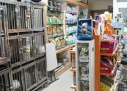 臻爱宠物屋：呵护宠物成长点滴，品牌店铺起名