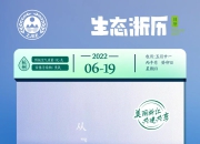 6月19日：一鼓作气还是三思后行？