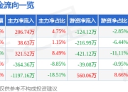 股票行情快报：德龙汇能（000593）7月25日主力资金净买入206.74万元