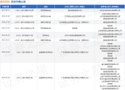 晨鸣控股作为原告/上诉人的1起涉及民间借贷纠纷的诉讼将于2025年8月19日开庭
