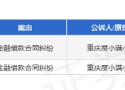 重庆度小满作为原告/上诉人的2起涉及金融借款合同纠纷的诉讼将于2025年8月19日开庭