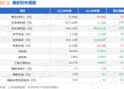国城矿业（000688）2024年年报简析：增收不增利