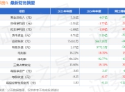 深深房A（000029）2024年年报简析：亏损收窄，三费占比上升明显