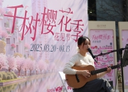 “千树樱花季·花见节”启幕，苏州河首推樱花主题游船专线