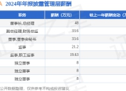 深华发Ａ(000020)年报：2024年净利润同比增175.35%，高管薪酬总额180.03万元同比增1.18%