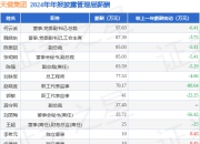 天健集团(000090)年报：2024年净利润同比减59.09%，高管薪酬总额745.54万元同比减19.22%