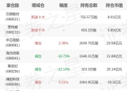 嘉实基金田光远旗下嘉实上证科创板芯片ETF一季报最新持仓，重仓中芯国际