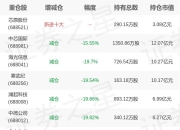 工银瑞信基金赵栩旗下科创ETF一季报最新持仓，重仓中芯国际