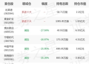 华泰柏瑞基金谭弘翔旗下华泰柏瑞中证A500ETF一季报最新持仓，重仓贵州茅台