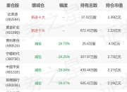 摩根资产管理韩秀一旗下摩根中证A500ETF一季报最新持仓，重仓贵州茅台