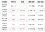 华夏基金华龙旗下华夏机器人ETF一季报最新持仓，重仓汇川技术