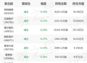 华宝基金胡洁旗下华宝中证医疗ETF一季报最新持仓，重仓药明康德