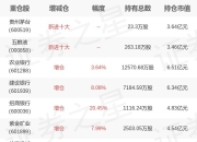 汇添富基金劳杰男旗下汇添富价值A一季报最新持仓，重仓农业银行