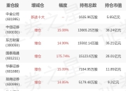 华宝基金丰晨成旗下华宝中证证券ETF一季报最新持仓，重仓中信证券