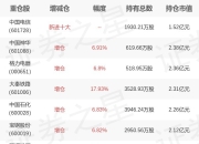 嘉实基金王紫菡旗下嘉实沪深300红利低波动ETF一季报最新持仓，重仓中国神华