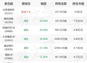 易方达基金余海燕旗下易方达恒生中国企业一季报最新持仓，重仓腾讯控股