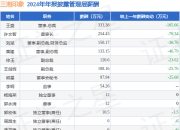 三湘印象(000863)年报：2024年净利润同比增1459.91%，高管薪酬总额1306.09万元同比减21.34%