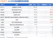 中恒电气(002364)年报：2024年净利润同比增178.52%，高管薪酬总额613.11万元同比增19.39%