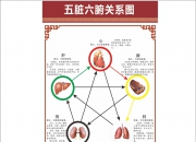 释放善意的涟漪，让生命之花盛开在每个角落