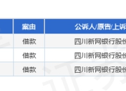 新网银行作为原告/上诉人的3起涉及借款的诉讼将于2025年5月6日开庭
