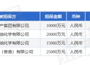 远大控股披露4笔对外担保，被担保公司3家